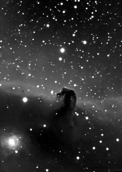 B33 - La tête de cheval