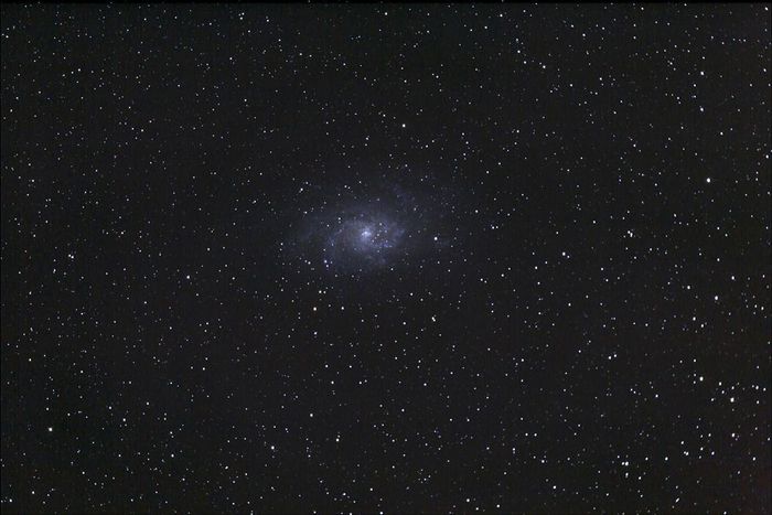 M33