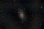 Galaxie du triangle