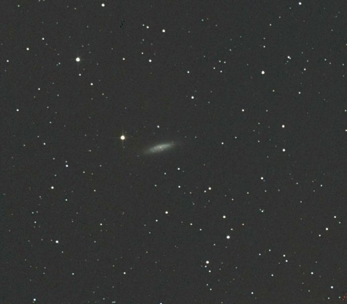 ngc 6503