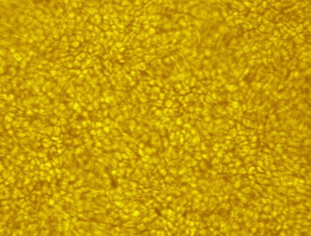 Granulation du 15-08-08 version couleur