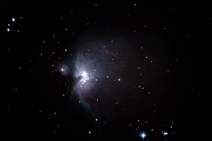 orion