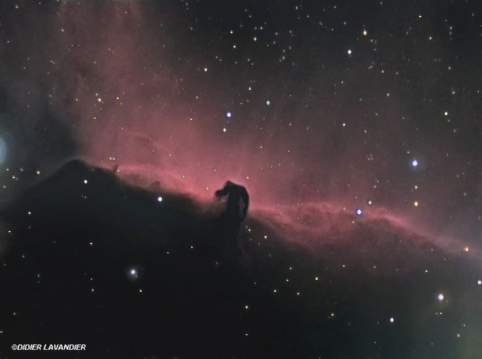 IC 434 &amp;amp; B 33 - La Tête de Cheval