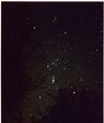 orion