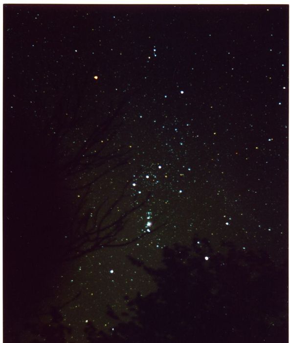 orion