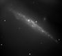 Galaxie de la baleine