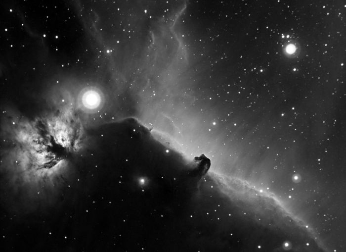 La tête de Cheval - B33 dans IC434