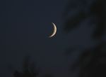 lune 4 jours