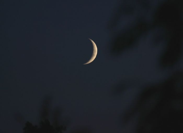 lune 4 jours