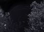 circumpolaire