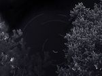 circumpolaire