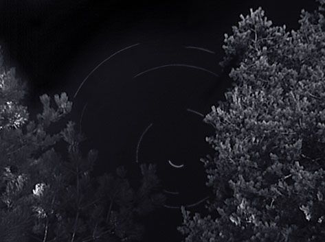 circumpolaire