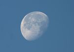 Lune 28 Novembre 2007