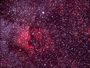 NGC 7000