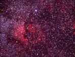 NGC 7000