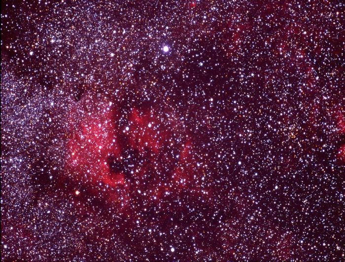 NGC 7000