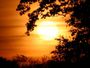 Coucher de soleil au pied des chenes (2)