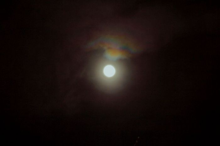phénomène (halo)