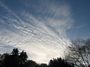 Cirrocumulus 02