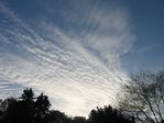Cirrocumulus 02