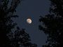 Lever de lune gibbeuse au crépuscule
