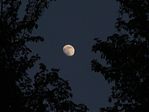 Lever de lune gibbeuse au crépuscule