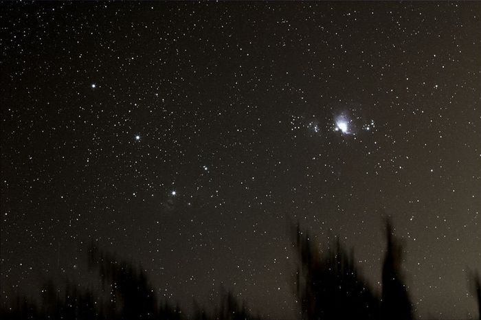 ORION B