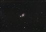 M51