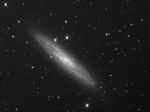NGC253