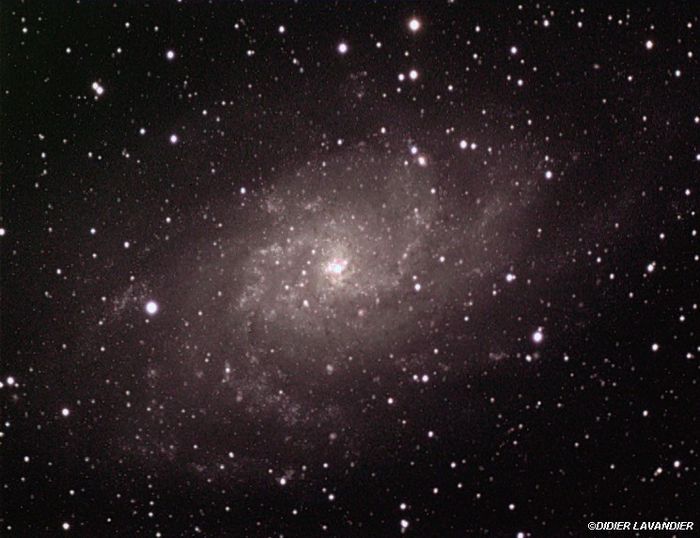 M33 - La galaxie du Triangle