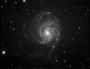 M101