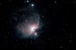 m42