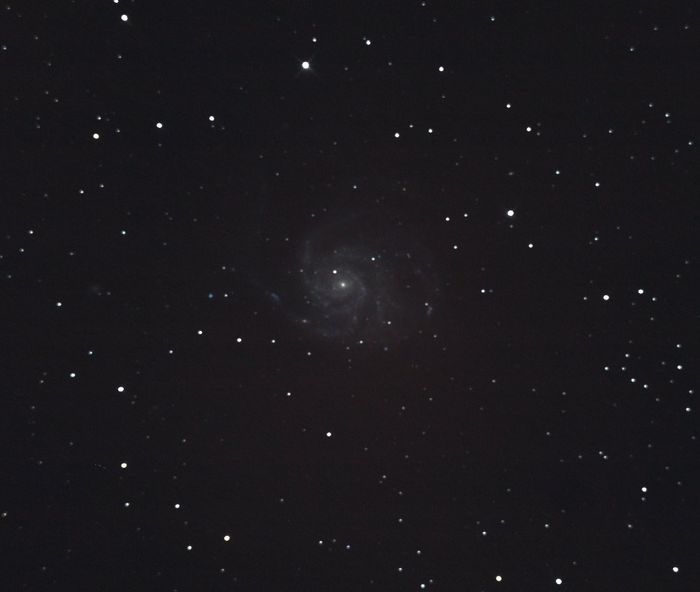 M101