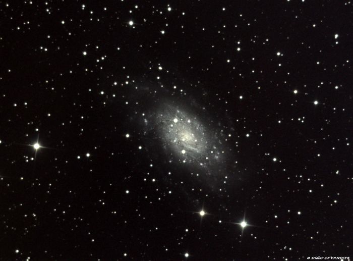 NGC 2403