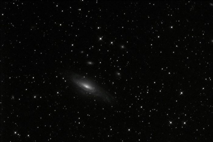 NGC7331