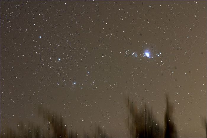 ORION C