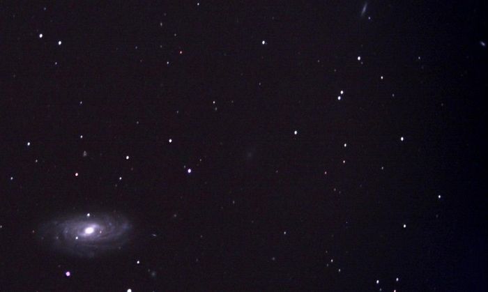 NGC 3953 Gde Ourse