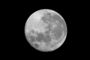 lune 11 mars 09   D100  obj500mm Doubleur
