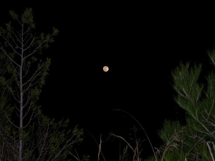 Lever de Pleine Lune