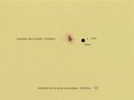 Première photo du soleil