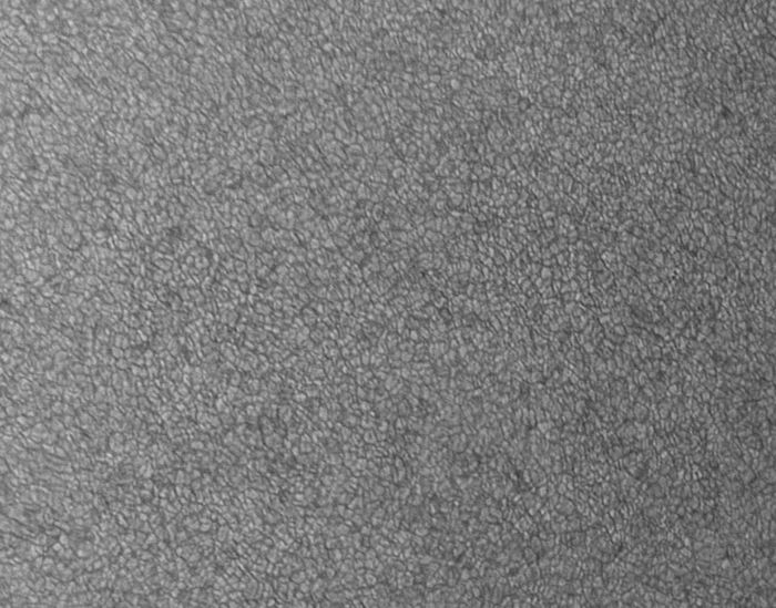 Granulation solaire du 18-04-10 (9h24TU)