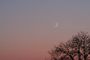 Jeune lune