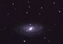 NGC 3953 et champ de galaxies