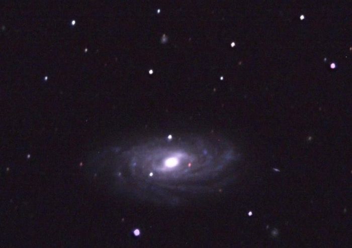 NGC 3953 et champ de galaxies