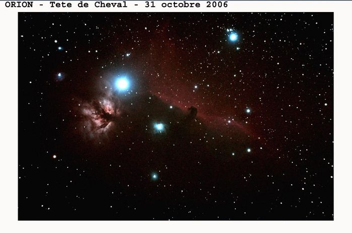 tete cheval ed 114/600