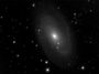 M81 ou NGC3031