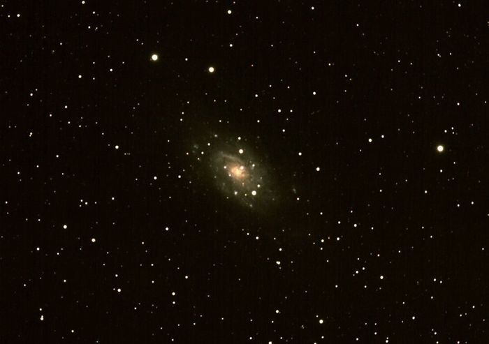 NGC 2403
