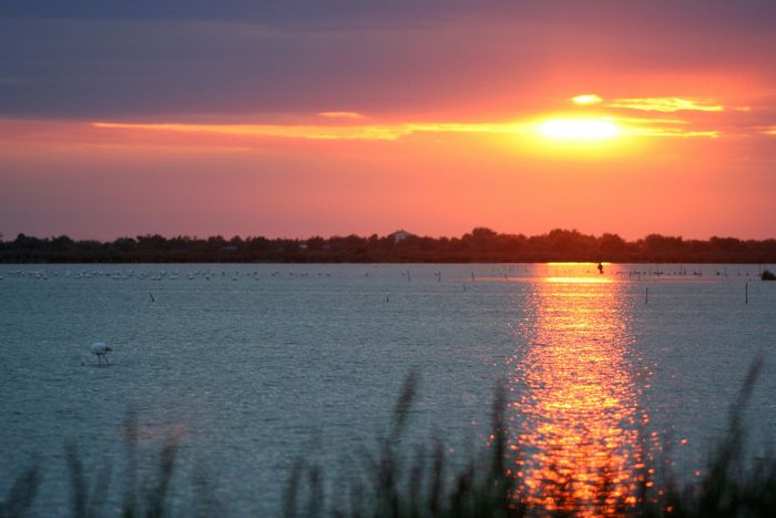 Coucher de soleil camargue