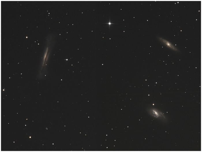 Trio du lion