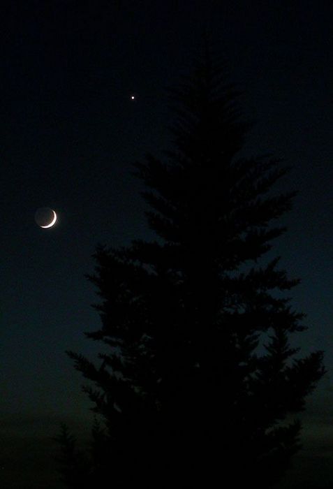 Vénus et Lumière cendrée
